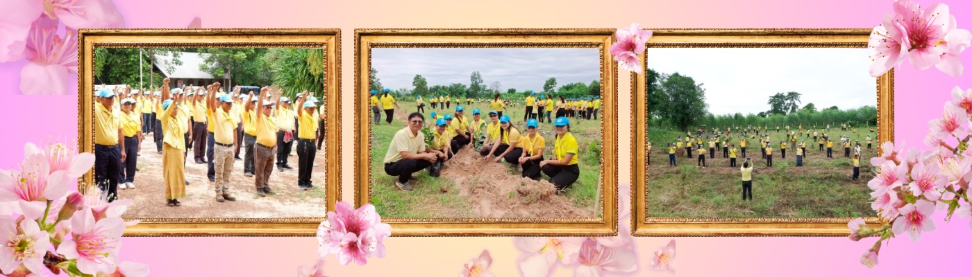 uuid=0E9FA051-6C5F-4E48-99A9-BE0238340232&library=1&type=1&mode=1&loc=true&cap=true